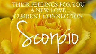 SCORPIO love tarot ♏️ Someone Who Feels That They Don’t Deserve You Scorpio 🥹 You Need To Hear This