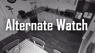 Alternate Watch - An Observation Duty Type Game