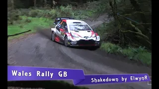 WRC Wales Rally GB 2019 | SHAKEDOWN [HD]