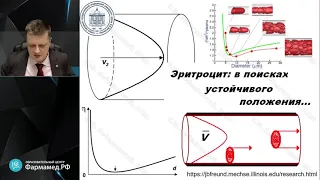 Клиническая физиология кровообращения   на каждый день Лебединский К.М.