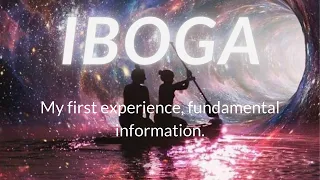 Iboga: My first experience, Fundamental information and insights