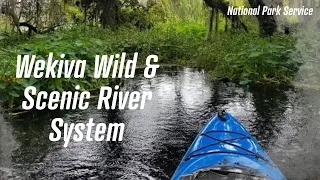 Designating the Wekiva Wild & Scenic River System: Florida's First Partnership Wild and Scenic River