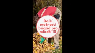 Ještě mi není 15 ale chci brigádu.