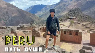 Волшебные растения Джунглей. Мой духовный опыт в Перу. Интервью о моём путешествии в Южную Америку.