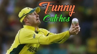 Top 10 Funny Catches in Cricket History Ever  HD™