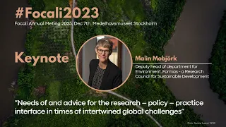 Needs of & advice for the research-policy-practice interface in global challenges | Malin Mobjörk