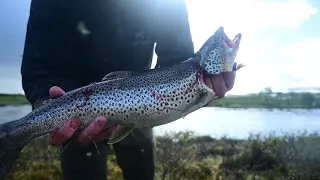 1 Måned på vandring i Finnmark - Sommar 2020