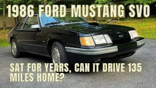 Mustang SVO - IT SAT FOR YEARS! Can it drive 135 miles home?