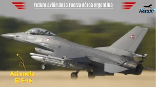 Asi vuela el F 16, futuro avión de la Fuerza Aérea Argentina