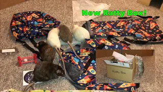 Reviewing March 2022's Ratty Box (A Rat Subscription Service!)