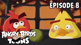 Angry Birds Toons | Miracle of Life - S2 Ep8