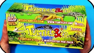 TURTLES and CO Figures  Ƹ̴Ӂ̴Ʒ FULL BOX DeAgostini BLIND BAG UNBOXING