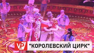 В ВОЛГОГРАДЕ СОСТОЯЛАСЬ ПРЕМЬЕРА БОЛЬШОЙ ПРОГРАММЫ ГРАНДИОЗНОГО «КОРОЛЕВСКОГО ЦИРКА»