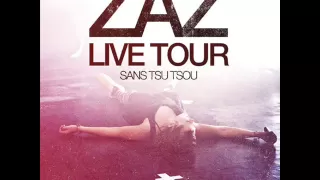 Zaz - La fée (Live Tour 2011).wmv