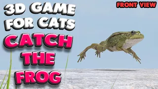 3D game for cats | CATCH THE FROG (front view) | 4K, 60 fps, stereo sound