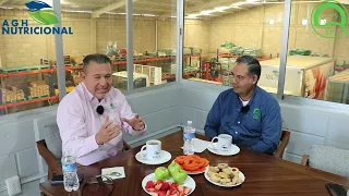 TARDE CAFE Y PRODUCCIÓN PORCINA: LA IMPORTANCIA DEL AGUA EN LA PRODUCCIÓN PORCINA.