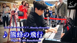 【ストリートピアノ】神戸駅で演奏！リムスキー＝コルサコフ：熊蜂の飛行（Rimsky-Korsakov: Flight of the Bumblebee）