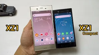 Perbandingan Sony Xperia XZ1 vs Sony Xperia XZ1 Compact, di 2021 ?