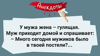 Мужик и Гулящая Жена! Сборник Веселых Жизненных Анекдотов! Юмор!