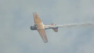 Super Chipmunk, T 6, Pitts, Extra & RV8 -  Formations Oshkosh 2019 Sunday