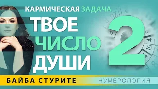 Кармическая задача ЧИСЛО ДУШИ 2 🔷 Ведическая нумерология