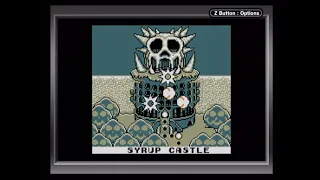 Wario Land: Super Mario Land 3 No-Death Playthrough (Game Boy Player Capture) - Syrup Castle