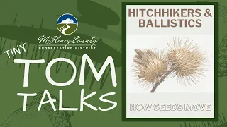 Tiny Tom Talks - Hitchhikers & Ballistics: How Seeds Move