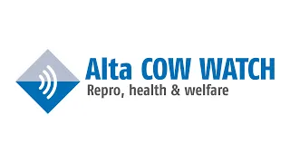 Alta COW WATCH