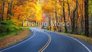 Healing Music With Sound in Forest | Stop Anxiety, Deep Sleep, Peaceful Soothing Instrumental Music