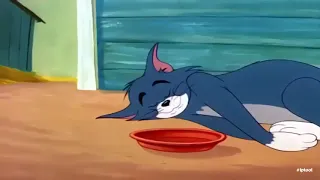 Tom and Jerry, watching will laugh like the old days Episode #108