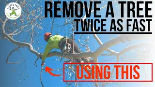 REMOVE A TREE TWICE AS FAST USING THIS - SHANE'S TREES