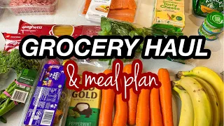 WOOLWORTHS GROCERY HAUL 2022 | BASIL HERB MEAL PREP | FAMILY MEAL PLAN | AUSTRALIAN FAMILY OF FOUR