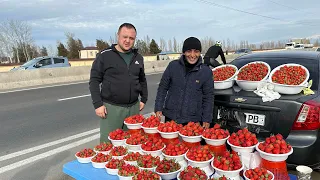 За этим Блюдом Едут в Горы! Самый Вкусный Узбекский Суп! Узбекистан!