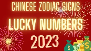 Your Lucky Number In 2023 Based On Your Chinese Animal Zodiac Sign | Ziggy Natural