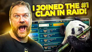 Why I Joined Sacred Panda & What it Means for the Future! | Raid: Shadow Legends