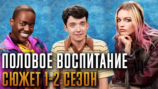 Половое воспитание 1-2 сезон - краткий сюжет