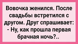 Друг Интересуется у Вовочки, как Прошла Брачная Ночь! Сборник Свежих Смешных Жизненных Анекдотов!