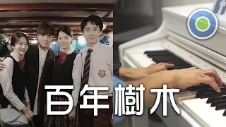 百年樹木【Piano Cover】(Hins Cheung 張敬軒)