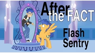 After the Fact: Flash Sentry