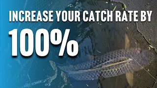 How to Prevent Tangled Carp Rigs - Tips for 100% Rig Presentation