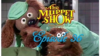 The Muppet Show Compilations - Episode 36: Veterinarian's Hospital (Season 2)