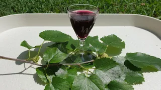 Black mulberry liqueur - Mulberry as pleasure and medicine