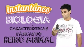 Características Básicas do Reino Animal - Biologia - Sandro Rech - Instantâneo