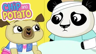 Chip and Potato | Chip de viaje al hospital | Dibujos animados para niños | Mira más en Netflix