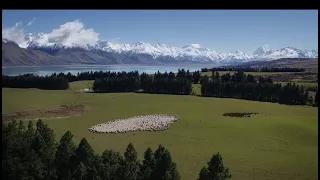 Farmers of Te Manahuna Aoraki