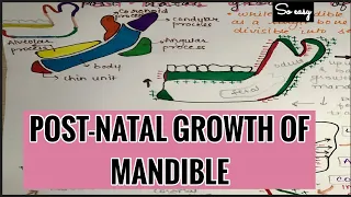 POST-NATAL GROWTH OF MANDIBLE || ORTHODONTICS