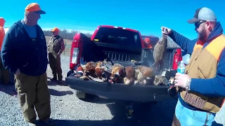 Amazing Pheasant hunt in southern Ohio (23 of 24)