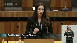Petra Steger - Budget 2016 (Familie und Jugend) - 25.11.2015