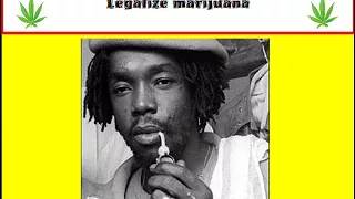 Peter Tosh bush doctor with Lyrics