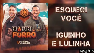 ESQUECI VOCÊ - Iguinho e Lulinha (Áudio Oficial)